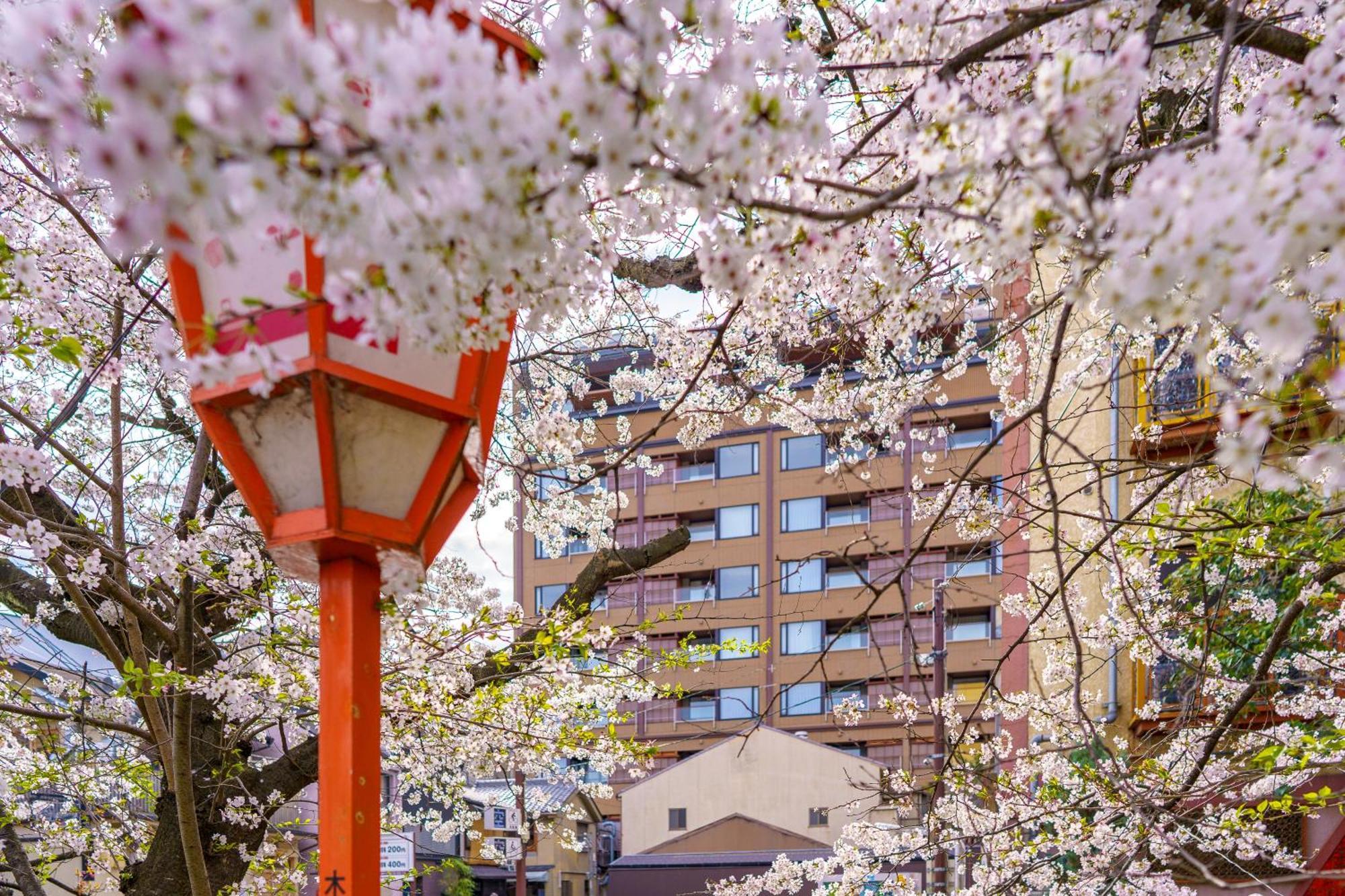 Sora Niwa Terrace Kyoto Hotell Exteriör bild
